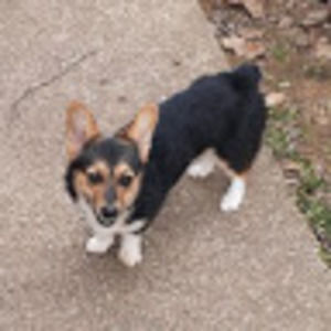 Meet your Posher, Alicia